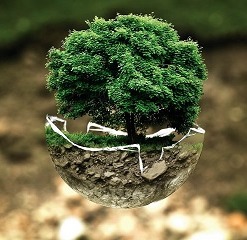 Grüner Baum wächst auf einer Wiese, die auf einer halben, leicht zerbrochenen Kugel liegt, Außen an der Kugel sieht man die verschiedenen Erdschichten.